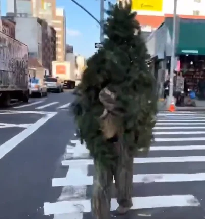 Árvore ambulante nos Estados Unidos