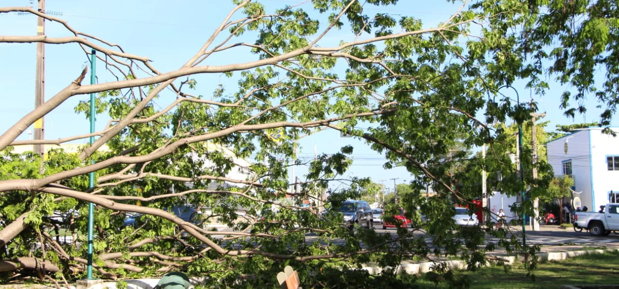 O fato aconteceu na zona norte de Teresina