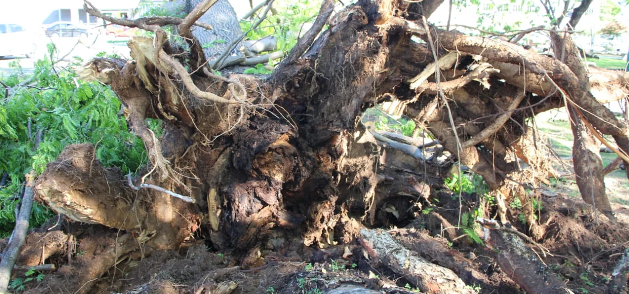Profissionais da Prefeitura de Teresina também estiveram no local