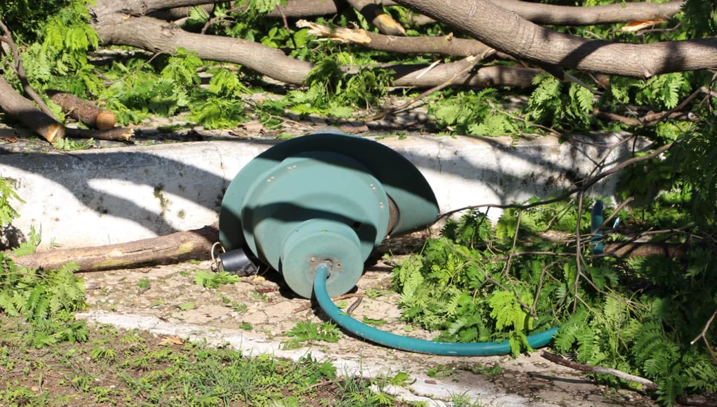 Queda de árvore causa problemas na estrutura da praça do Marquês