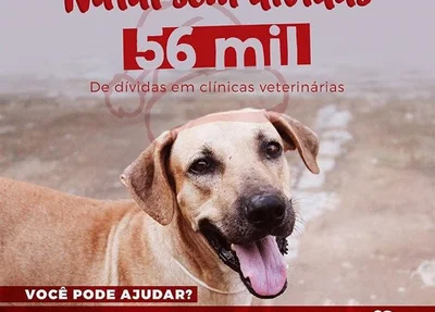 Campanha Natal sem dívidas 