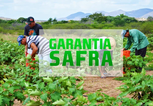 Garantia Safra