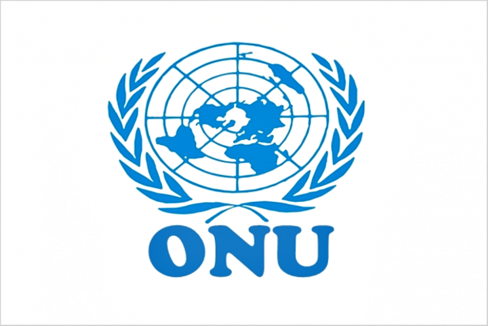 Organização das Nações Unidas
