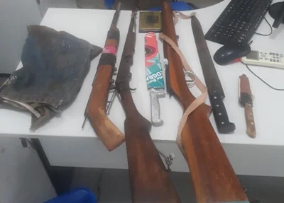 Armas apreendidas