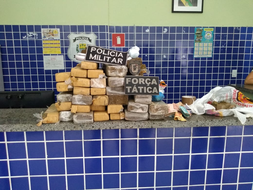Drogas apreendidas