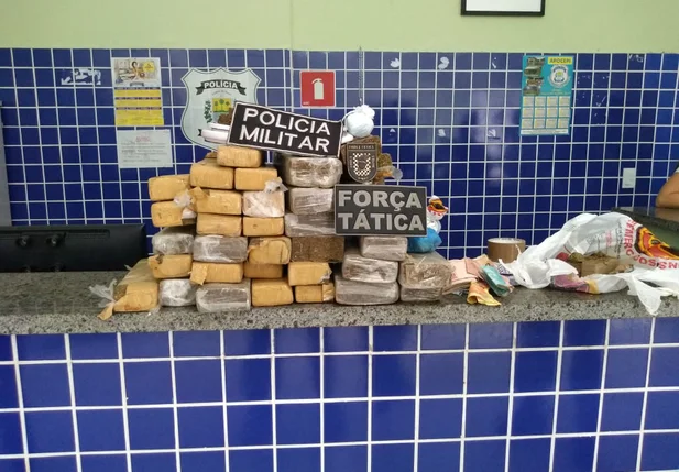 Drogas apreendidas