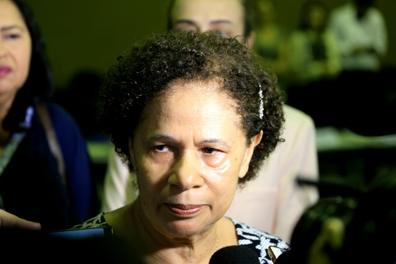 Senadora interina Regina Sousa