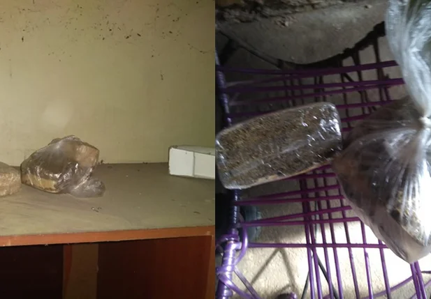 Droga encontrada na casa de Paulo