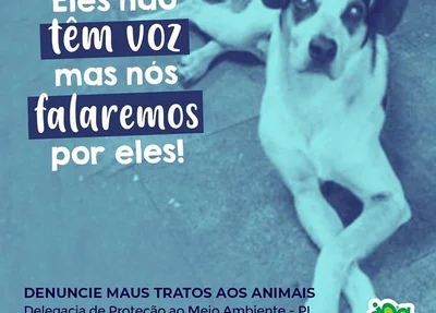 Delegacia investiga maus tratos a animais 