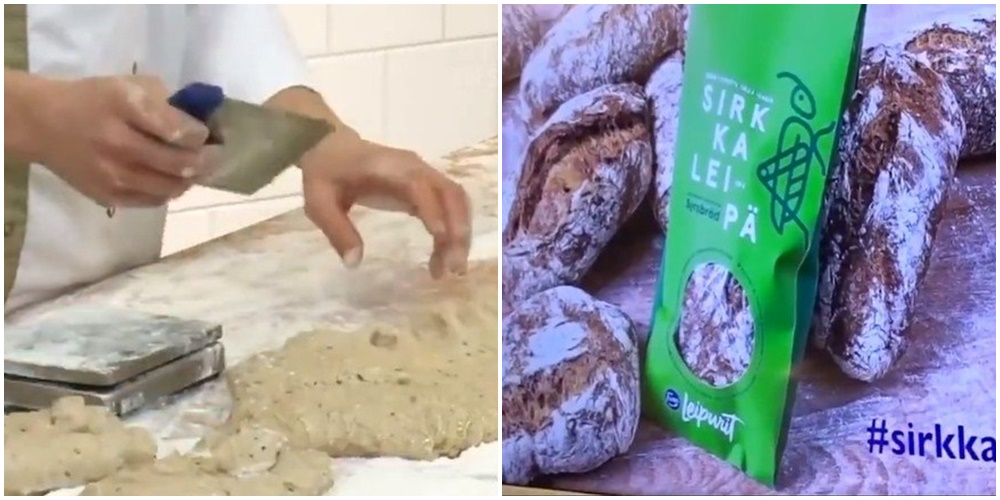 A massa dos pães finlandeses é feita com 70 grilos secos esmagados