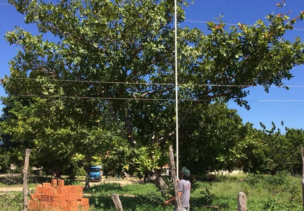 Rede elétrica oferece riscos a moradores