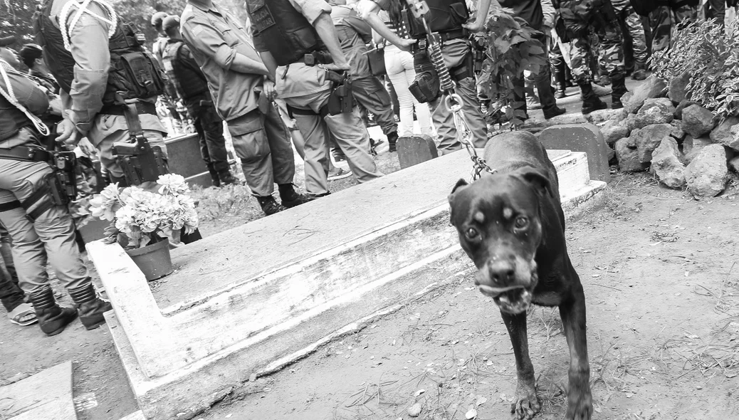 Cadela do Policial Militar  