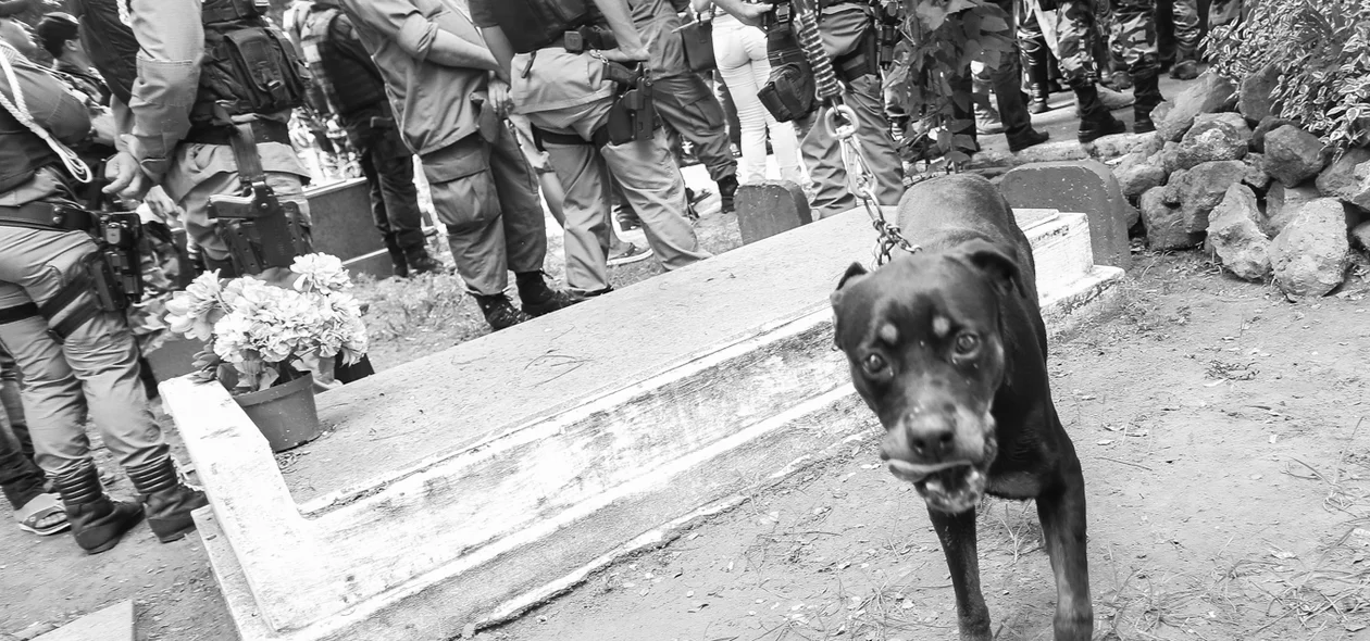 Cadela do Policial Militar  