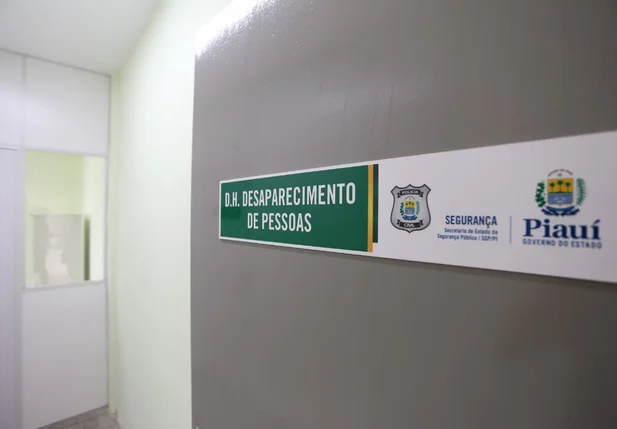 Divisão de Investigação de Pessoas Desaparecidas