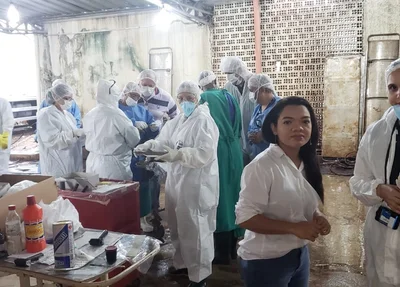 Perita criminal em Brumadinho