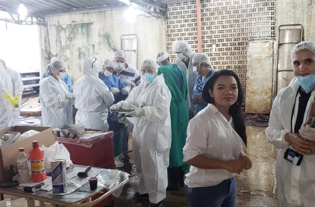 Perita criminal em Brumadinho