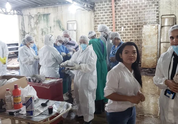 Perita criminal em Brumadinho