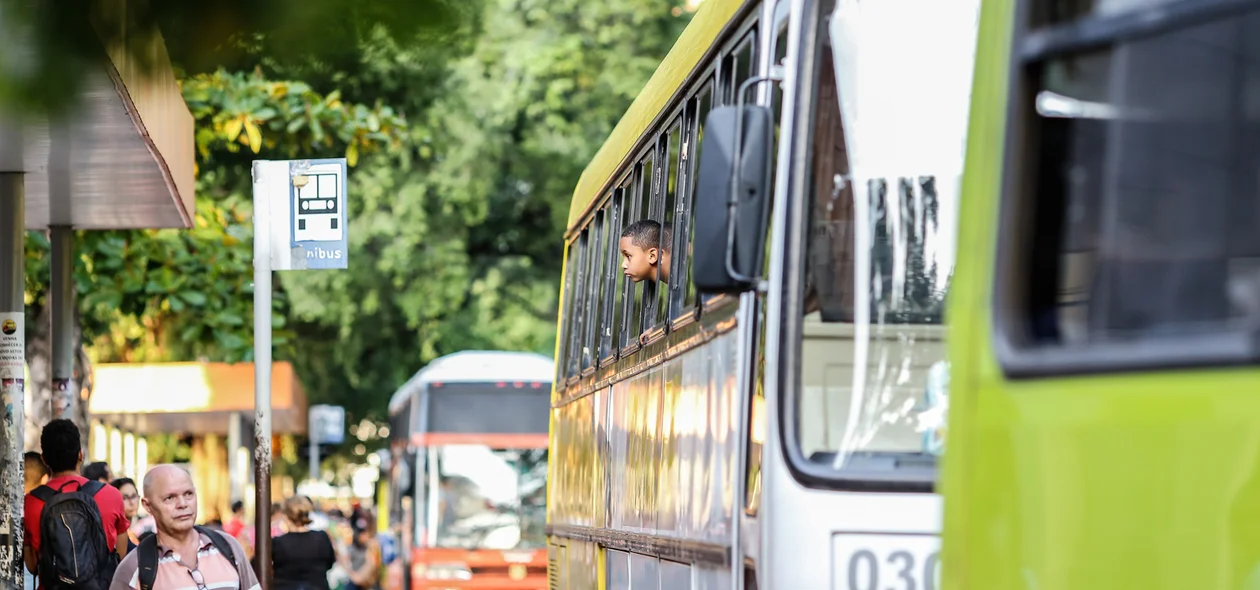 Ônibus clandestinos 