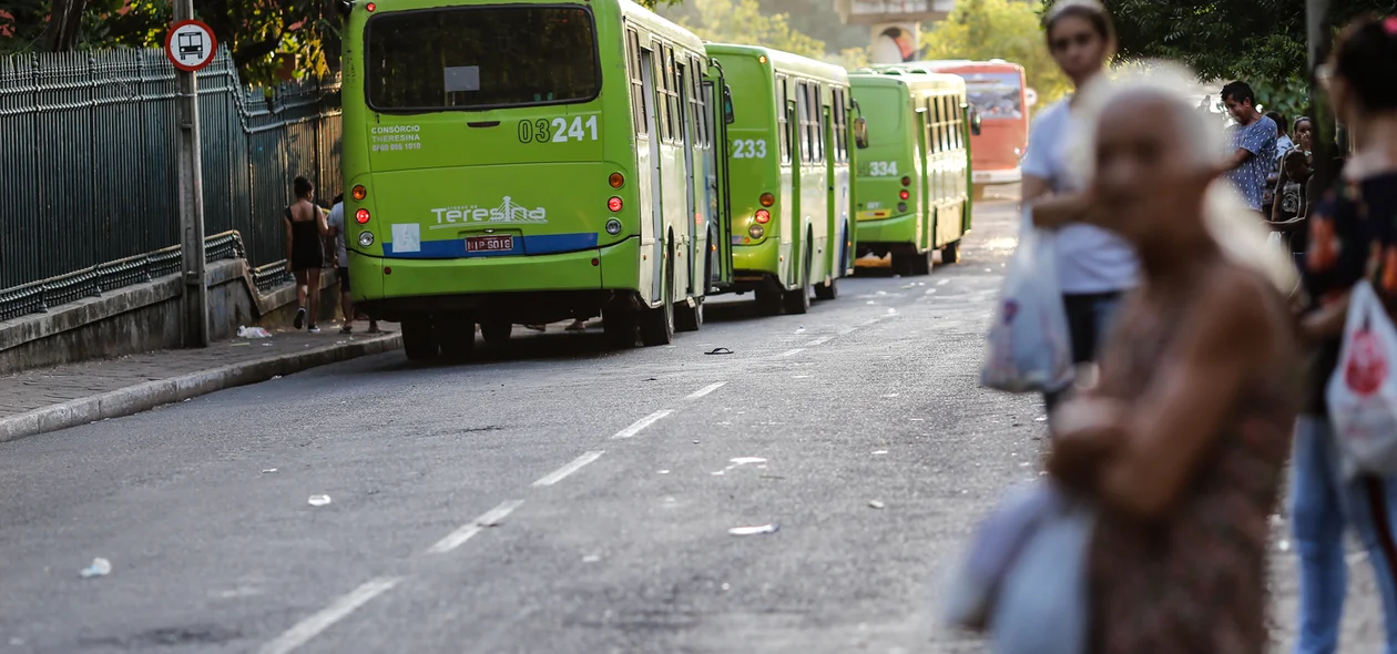 Operação tartaruga em Teresina