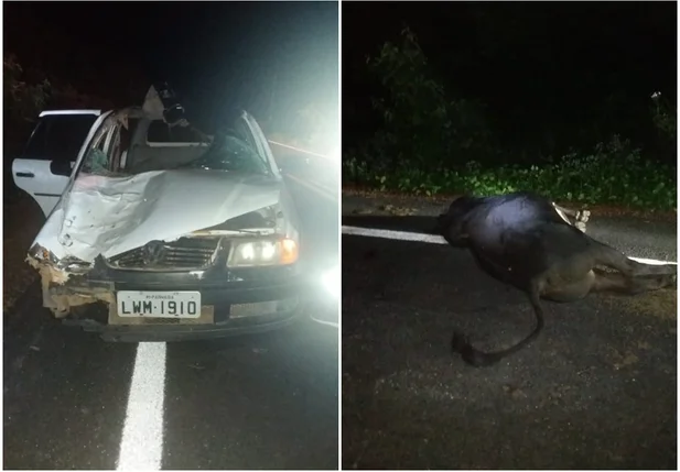O veículo transportava quatro pessoas quando colheu um boi na rodovia