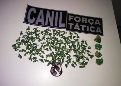 Parte da droga apreendida