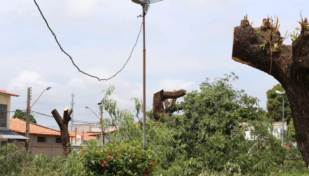 A praça teve todas as suas árvores cortadas