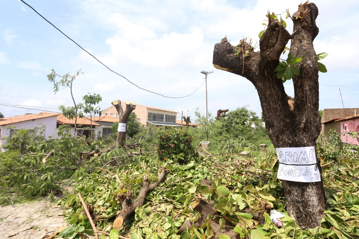 Árvores foram destruídas na Praça Gentil Macedo