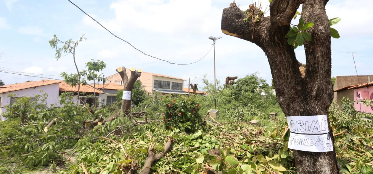 Árvores foram destruídas na Praça Gentil Macedo