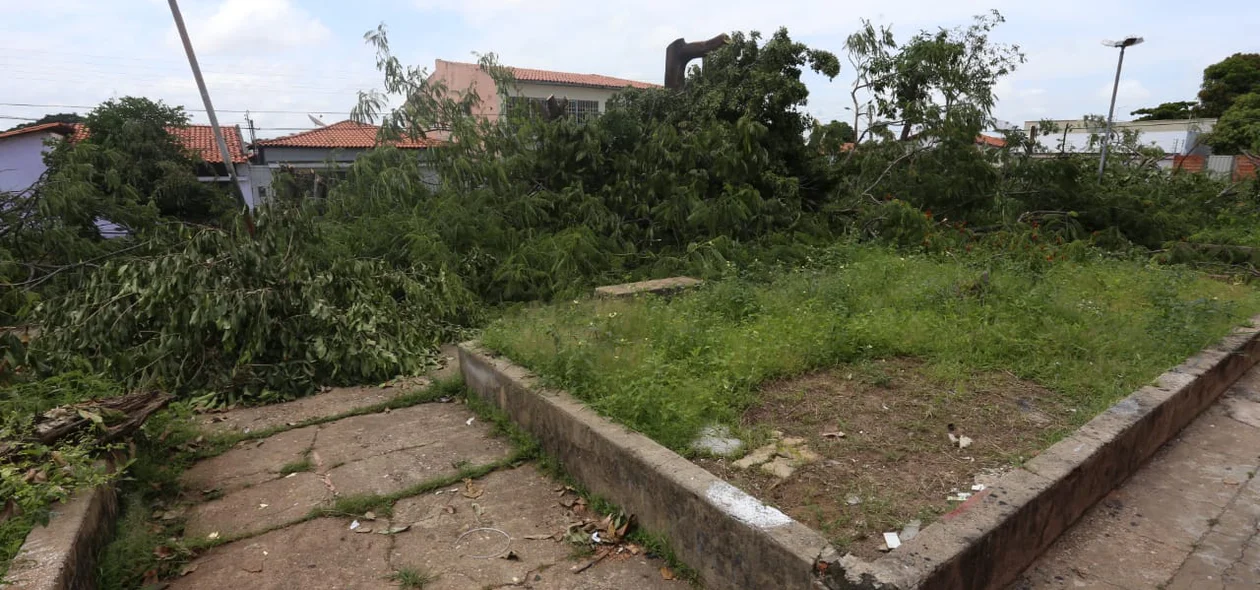Moradores reclamam ainda que a praça estava abandonada