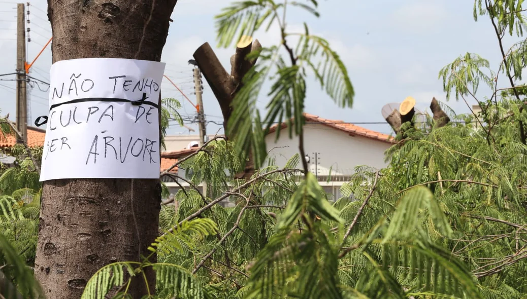Polícia Ambiental está investigando autoria do crime