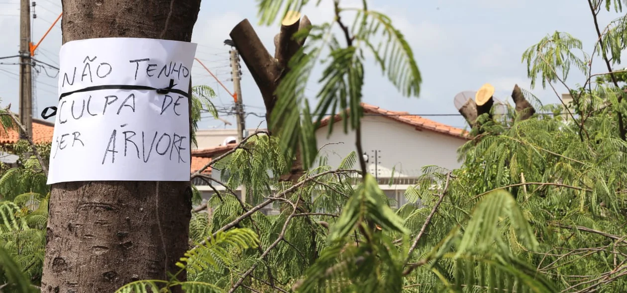 Polícia Ambiental está investigando autoria do crime
