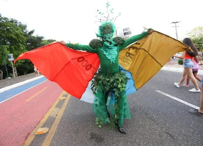 Homem fantasiado de mãe natureza