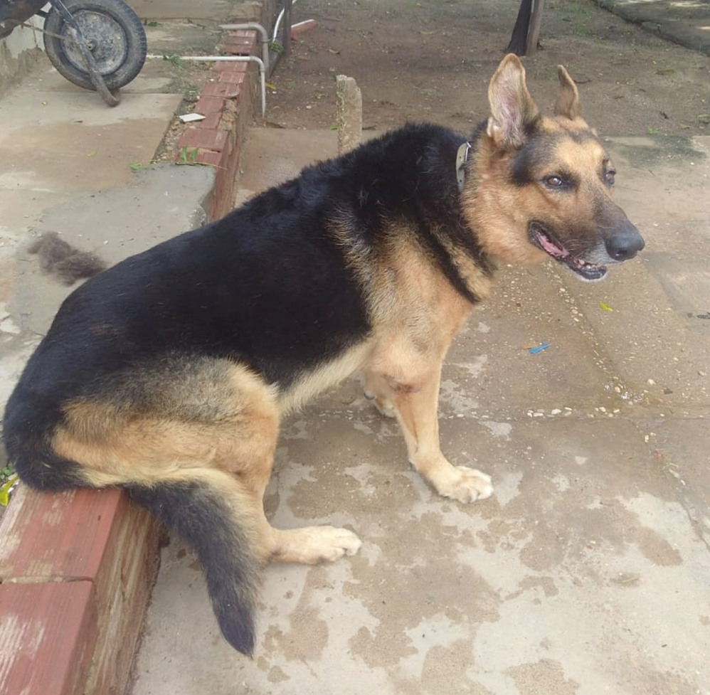 Bradock