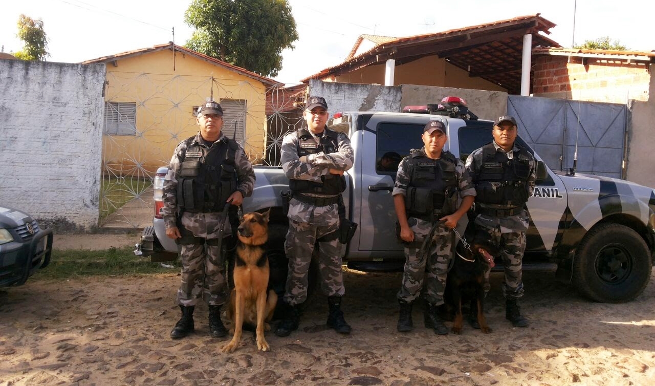 Operações em que o cão participou