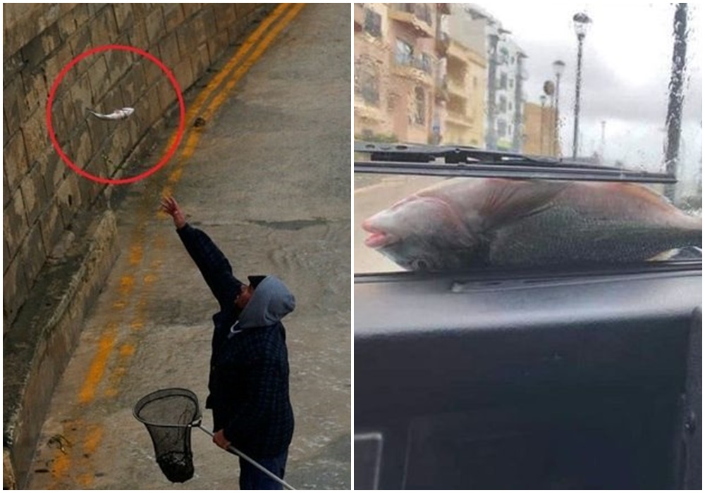 Moradores arriscam a vida para pescar os peixes