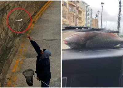 Moradores arriscam a vida para pescar os peixes