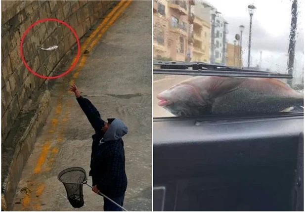 Moradores arriscam a vida para pescar os peixes