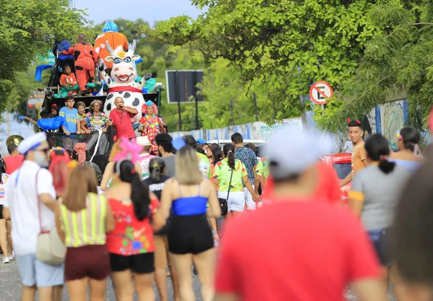 Bloco Vaca Atolada reúne milhares de foliões em Teresina