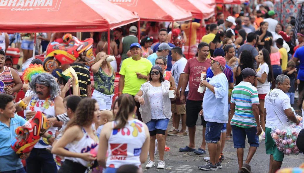 Bloco Vaca Atolada em Teresina