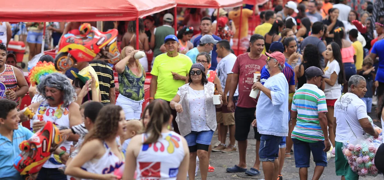 Bloco Vaca Atolada em Teresina