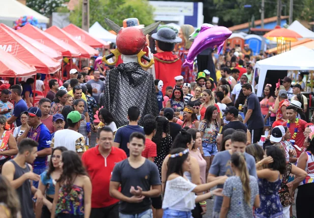 Bloco Vaca Atolada reúne milhares de foliões