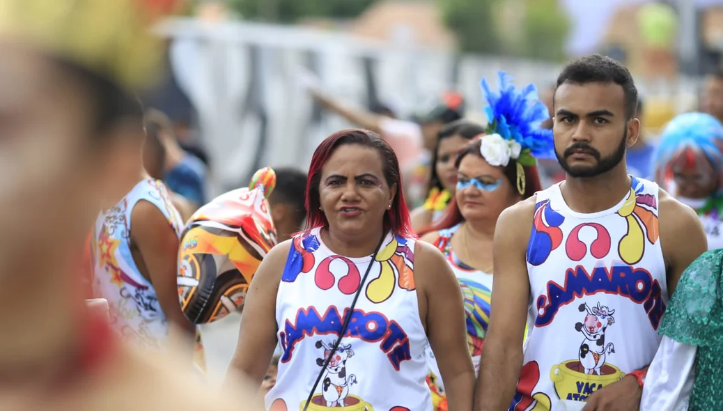 Foliões curtem o bloco Vaca Atolada