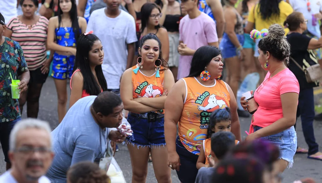 Foliões durante o bloco Vaca Atolada no bairro Matinha