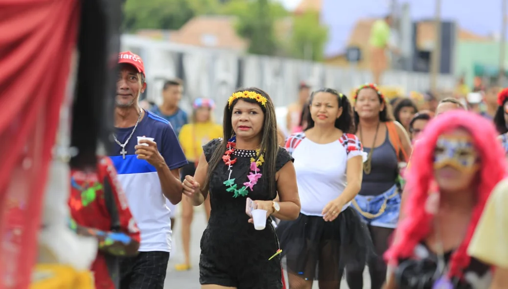 Foliões no bloco Vaca Atolada na zona norte de Teresina