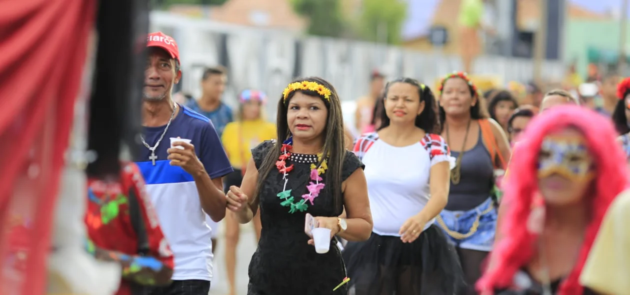Foliões no bloco Vaca Atolada na zona norte de Teresina