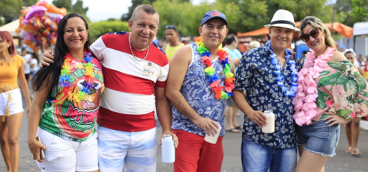 Foliões no bloco Vaca Atolada no bairro Matinha