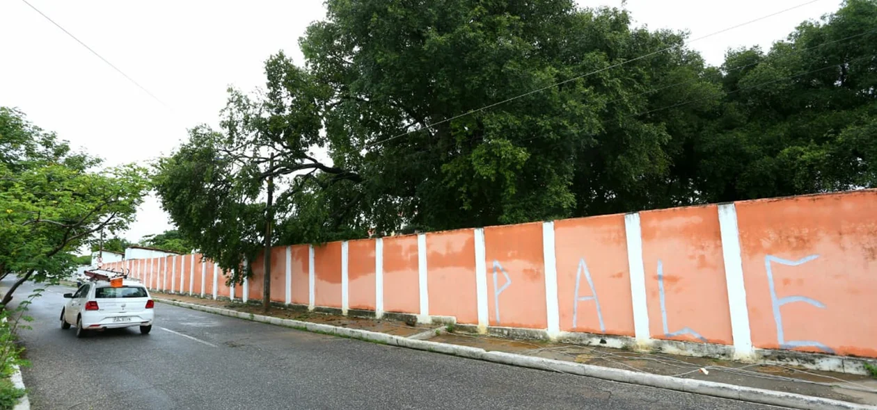 Árvore cai na Alameda Parnaíba durante chuva na madrugada