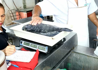 Preço do quilo dos peixes