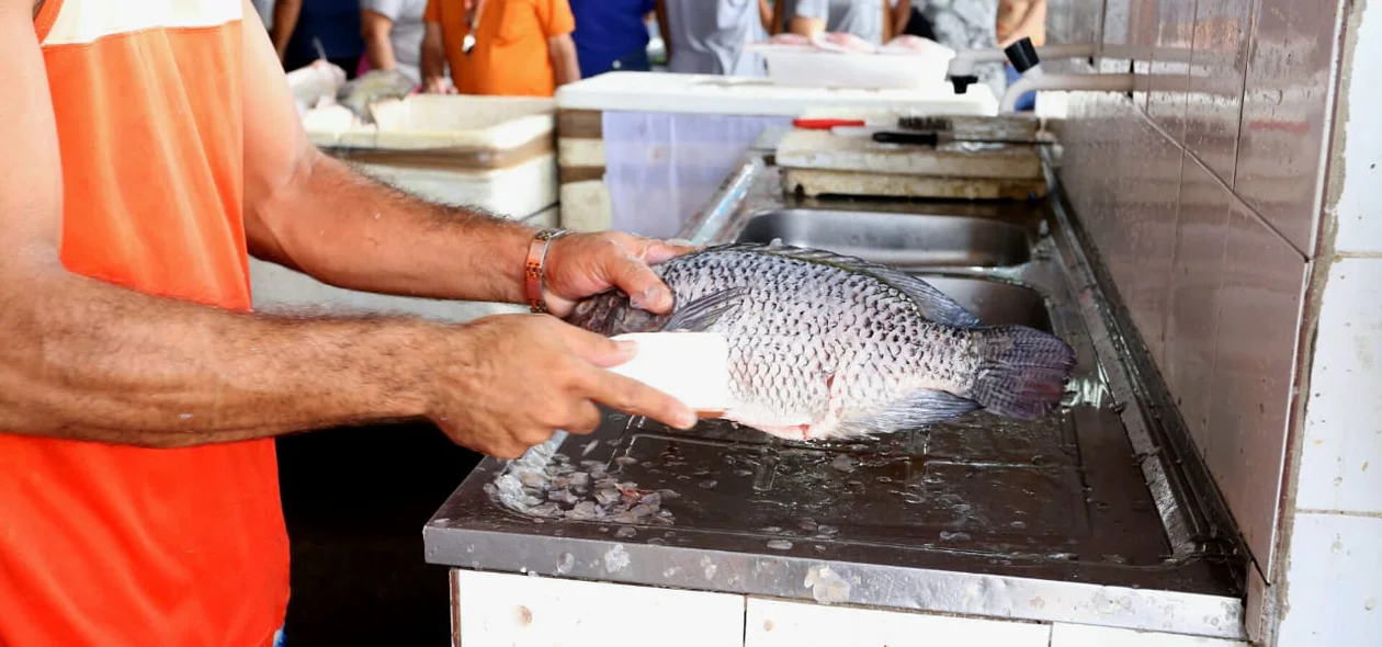 Venda de pescados