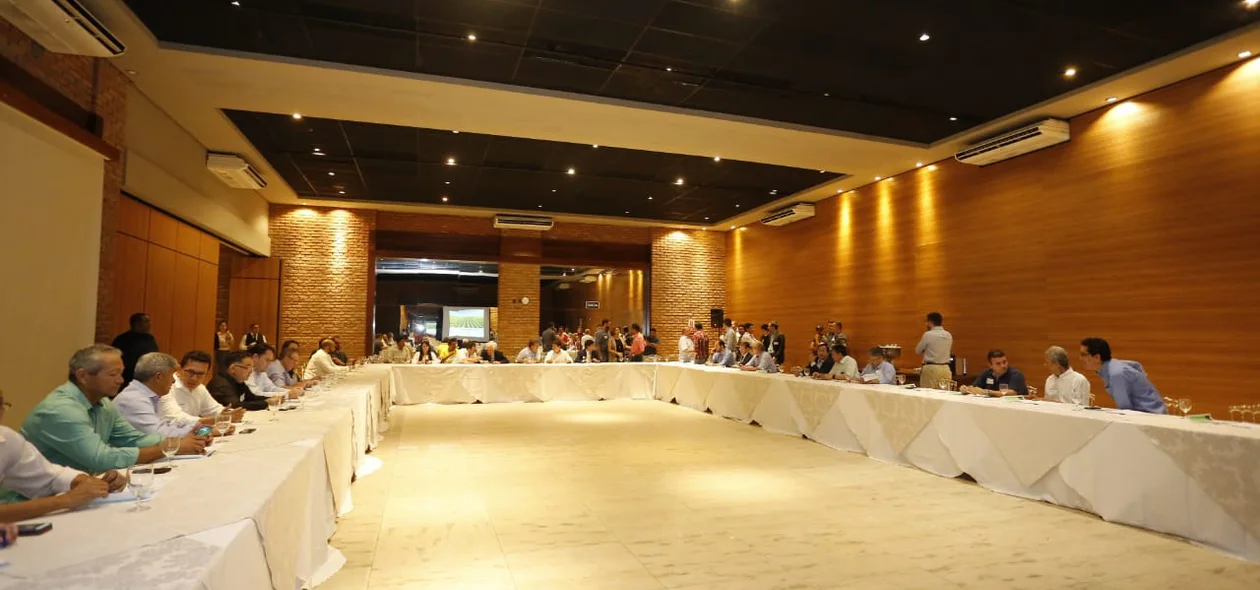 Encontro entre parlamentares e produtores do Piauí